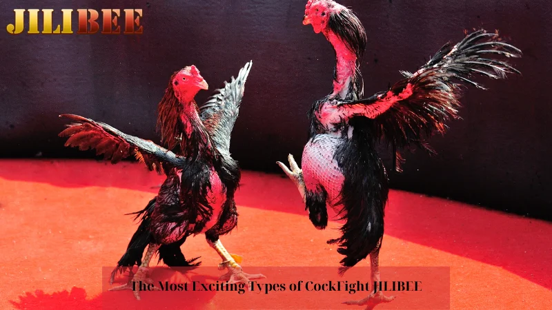 playzone vip app download how to bet in gcash nba